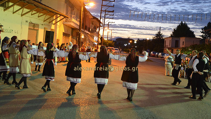 Βραδιά με πολιτιστικούς χορούς στο Παλαιοχώρι του δήμου Αλεξάνδρειας (φώτο-βίντεο)