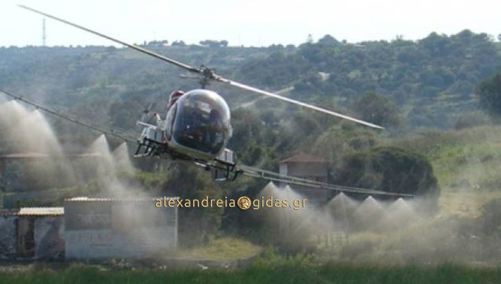 Με 3 ελικόπτερα τη Δευτέρα θα γίνουν οι ψεκασμοί για τα κουνούπια και στον δήμο Αλεξάνδρειας (πρόγραμμα)