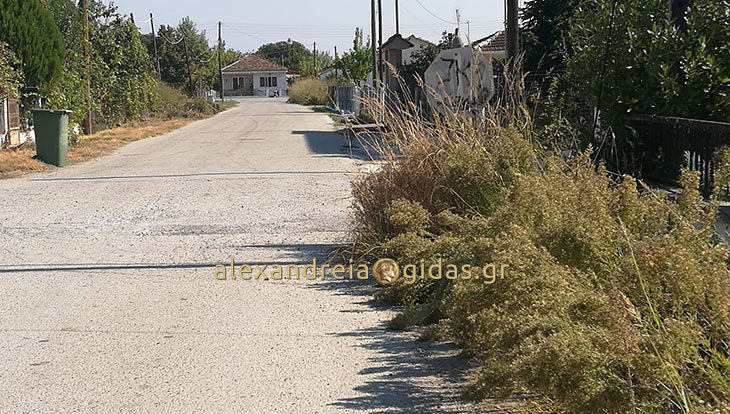 Σωτήρης Τόκας: Ποιες οι υποχρεώσεις των ιδιοκτητών για τον καθαρισμό των ακάλυπτων χώρων και οικοπέδων