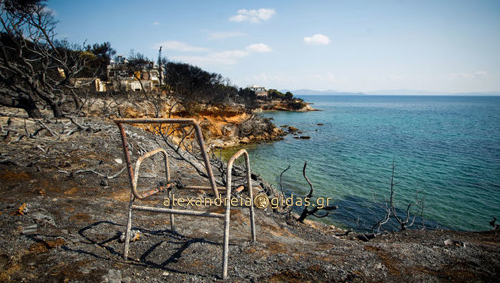Θλίψη και οδύνη: Στους 80 ο επίσημος αριθμός των νεκρών που χάθηκαν τόσο άδικα (φώτο)