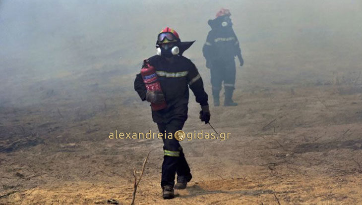 2 πυροσβέστες από την Αλεξάνδρεια στην Αττική