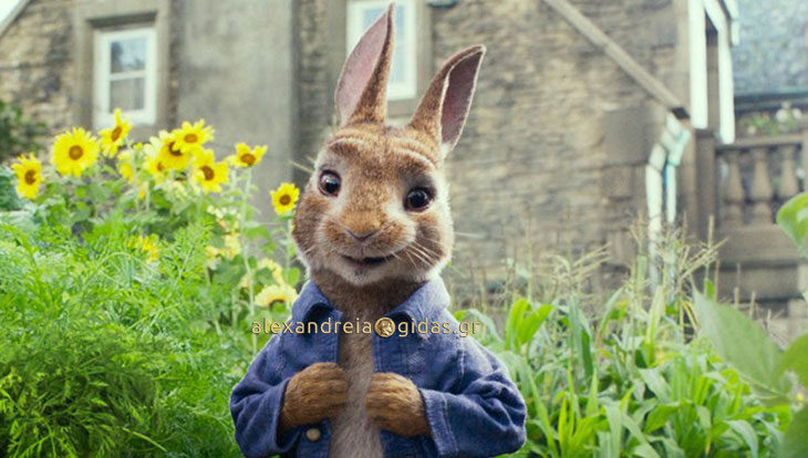 Κανονικά η προβολή της ταινίας PETER RABBIT σε λίγο στο αμφιθέατρο παρά το μπουρίνι