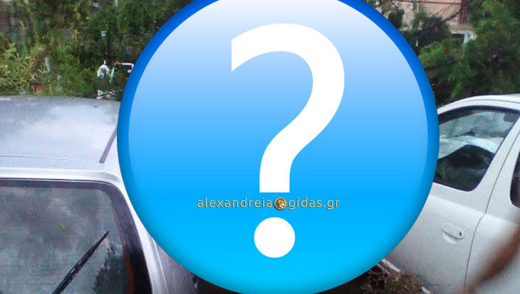 Αναγνώστης: Μία σπάνια εικόνα από τις καταστροφές στα Τρίκαλα Ημαθίας (φώτο)