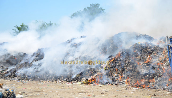 Εικόνες ντροπής στην Αλεξάνδρεια – καίγονται στοίβες σκουπιδιών δίπλα στην πόλη (φώτο-βίντεο)