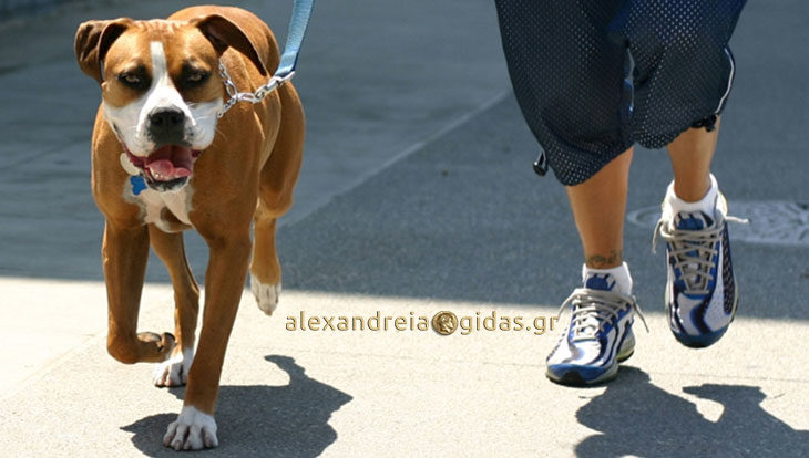 Κτηνιατρείο – Pet Shop ΘΕΟΔΩΡΙΔΗΣ ΑΝΑΣΤΑΣΙΟΣ στην Αλεξάνδρεια: Ώρα για βόλτες!!!