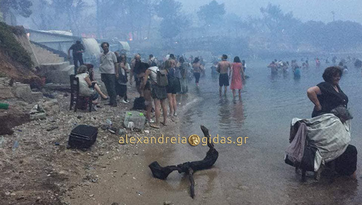 Ένας 71χρονος ήρωας από τη Βέροια έσωσε τα 2 εγγόνια του από την κόλαση της φωτιάς στην Αττική