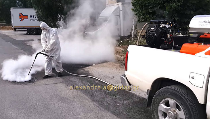 Ειδικοί ψεκασμοί για ακμαία κουνούπια σήμερα τη νύχτα στη Μελίκη – τι να προσέξουν οι κάτοικοι