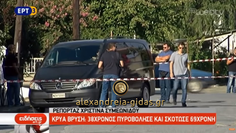 Νέες πληροφορίες για το έγκλημα στην Κρύα Βρύση: Η γιαγιά “θυσιάστηκε” για να σώσει την εγγονή (βίντεο)