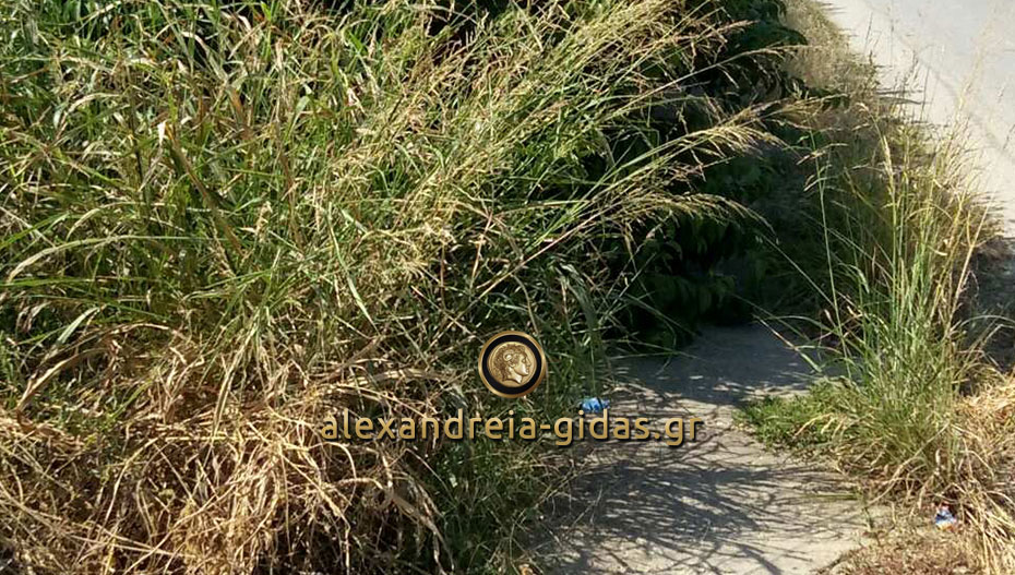 Κι όμως αυτό είναι πεζοδρόμιο και για ΑμΕΑ στον δήμο Αλεξάνδρειας! (φώτο)