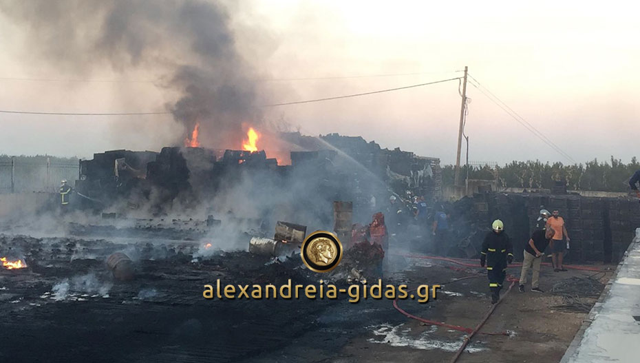 Τι ανακοίνωσε η πυροσβεστική για την μεγάλη φωτιά στο εργοστάσιο έξω από τη Βέροια