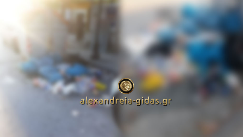 Αναγνώστης: Εικόνες ντροπής στο κέντρο της Αλεξάνδρειας, μήπως κάτι πρέπει να κάνει ο δήμος; (φώτο)