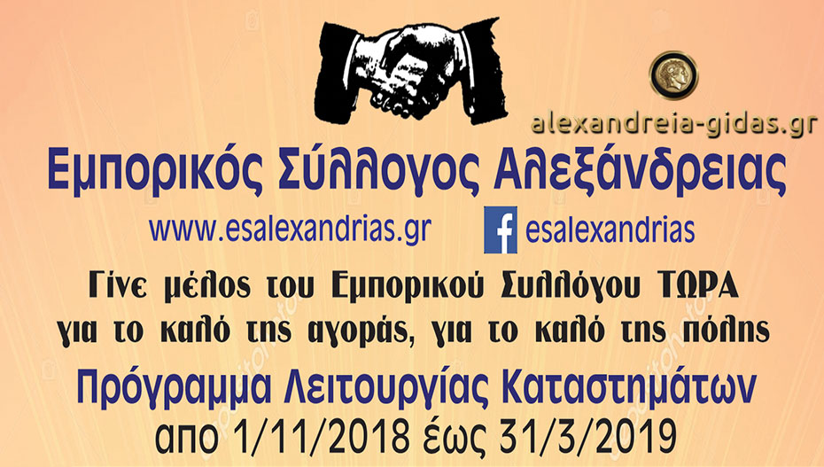 Πως θα δουλέψουν τα μαγαζιά της Αλεξάνδρειας τα Χριστούγεννα και την Πρωτοχρονιά (πρόγραμμα)