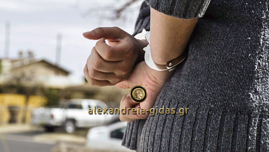 Συλλήψεις και δικογραφίες για κλοπές στην ατζέντα των αστυνομικών χτες στην Ημαθία