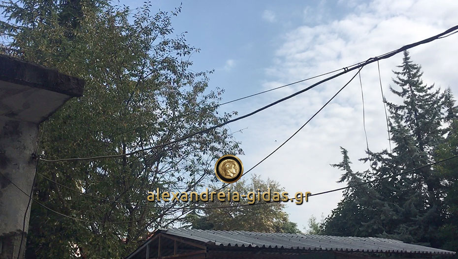 Ήχησαν οι σειρήνες του πολέμου στην Αλεξάνδρεια (βίντεο)