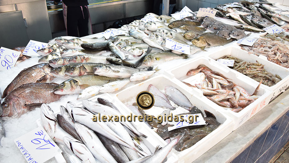 ΨΑΡΑΔΙΚΟ Τσολακίδης στην Αλεξάνδρεια: Παραγγέλνεις φρέσκο ψάρι και σου το ψήνουν! (φώτο)