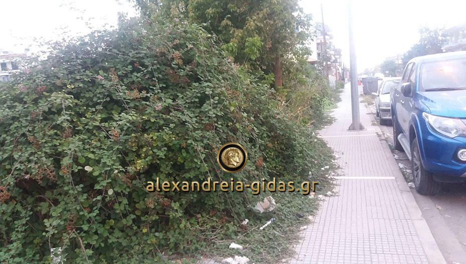 Αναγνώστρια: Στον δρόμο της Κατερίνης στην Αλεξάνδρεια δεν θα περπατάμε στα πεζοδρόμια (φώτο)