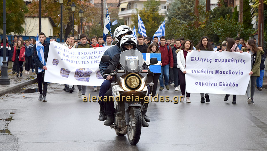 Πορεία των μαθητών της Αλεξάνδρειας για την Μακεδονία (φώτο-βίντεο)