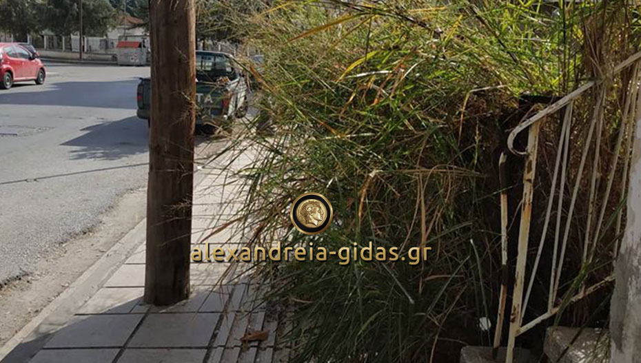 Αναγνώστης: Από αυτό το πεζοδρόμιο πηγαίνουν παιδιά στο Δημοτικό Σχολείο τους (φώτο)
