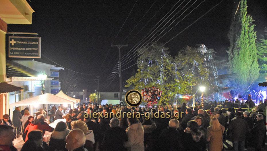 Άναψε το Χριστουγεννιάτικο Δέντρο στο Αιγίνιο! (φώτο)