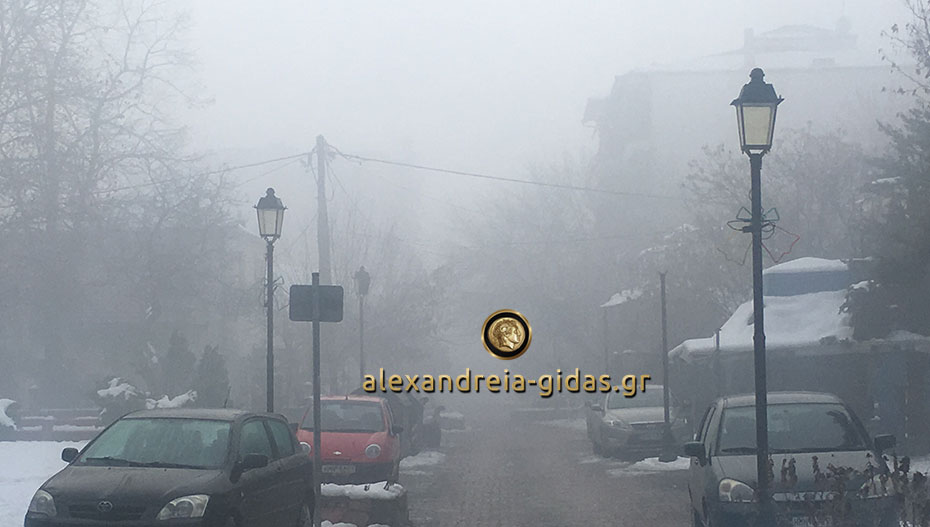 Μετά το χιόνι, με ομίχλη “ξύπνησε” η Αλεξάνδρεια (φώτο)