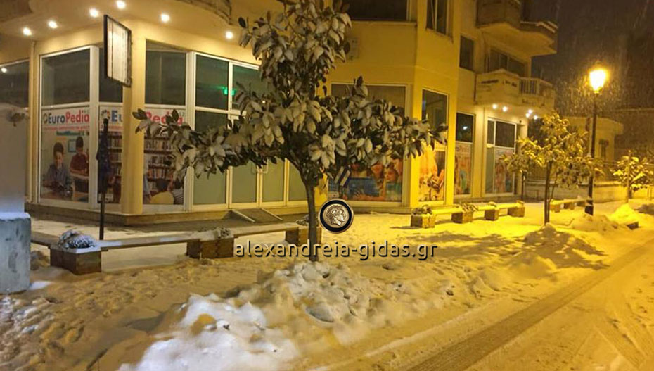 Κλειστό αύριο Πέμπτη 10 Ιανουαρίου το ΚΔΑΠ EUROPEDIA στην Αλεξάνδρεια (ανακοίνωση)
