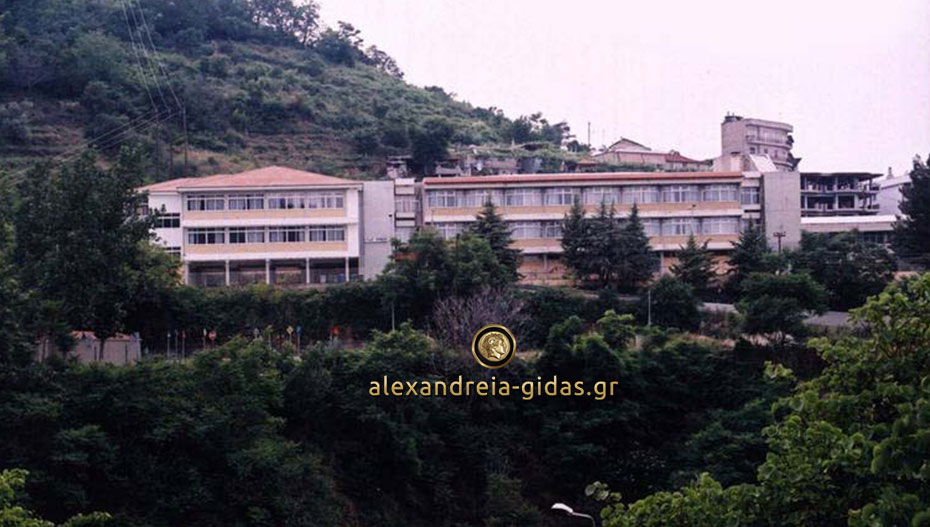 Ανοιχτά όλα τα σχολεία της Νάουσας την Τετάρτη 9 Ιανουαρίου