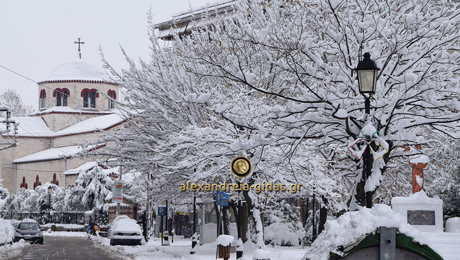 Χιόνισε στη Φλώρινα – μεγάλη πτώση της θερμοκρασίας στην Κεντρική Μακεδονία