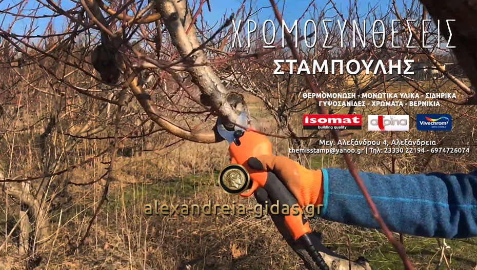Ισχυρό, ελαφρύ και γρήγορο το ηλεκτρικό ψαλίδι κλαδέματος από την PROTECH – θα το βρεις στον ΣΤΑΜΠΟΥΛΗ!