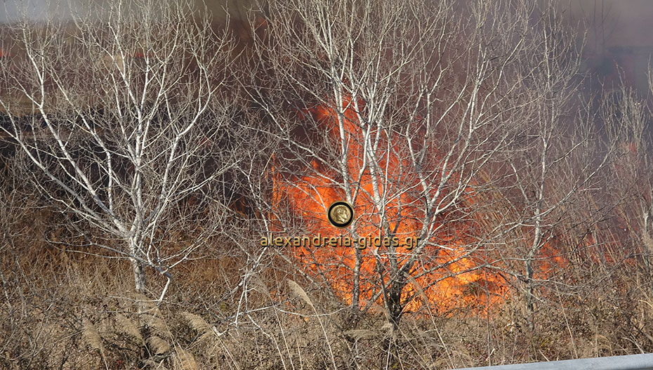 ΤΩΡΑ: Μεγάλη φωτιά παράπλευρα της Εγνατίας στο ύψος της Αγίας Κυριακής (φώτο-βίντεο)