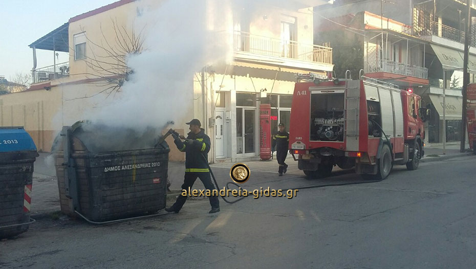 Φωτιά το πρωί σε κάδο απορριμμάτων στην Αλεξάνδρεια (φώτο)