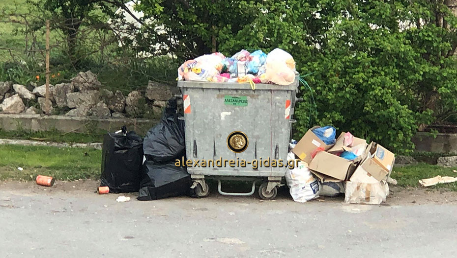 Αναγνώστης: Πρόβλημα με τα σκουπίδια στο Νησί