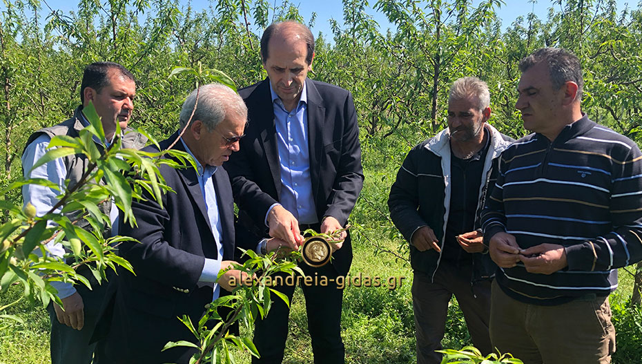 Στη Μελίκη κοντά στους αγρότες που υπέστησαν ζημίες από το χαλάζι ο Απόστολος Βεσυρόπουλος (εικόνες)