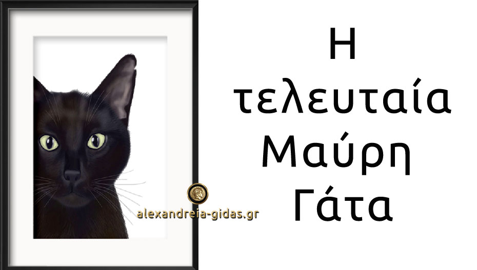 Απόψε η «Τελευταία μαύρη γάτα» του Δημοτικού Σχολείου Κορυφής στο Πλατύ! (πρόσκληση)