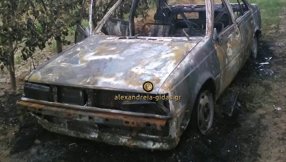 Ένα ακόμα καμένο αυτοκίνητο βρέθηκε σε χωράφι του δήμου Αλεξάνδρειας (εικόνες)