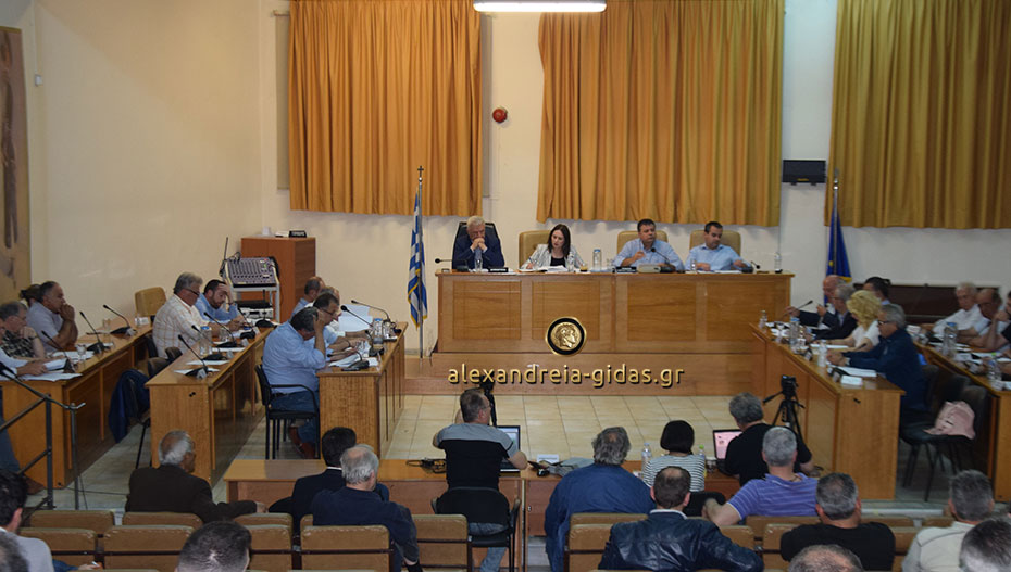 Έκτακτη συνεδρίαση του δημοτικού συμβουλίου Αλεξάνδρειας – μοναδικό θέμα οι βουλευτικές εκλογές