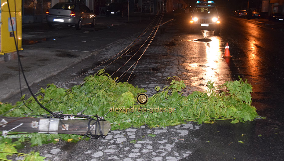 Πεσμένη κολόνα της ΔΕΗ στον δρόμο της Κατερίνης στην Αλεξάνδρεια – επικίνδυνα καλώδια (εικόνες)