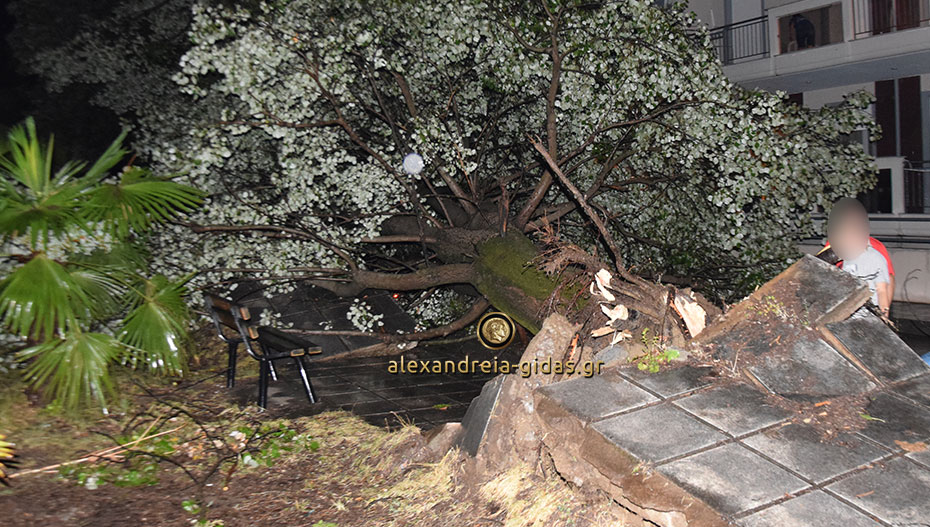 Καταστροφές μπροστά στο Κέντρο Υγείας Αλεξάνδρειας: Ξηλώθηκαν πεζοδρόμια – καταπλακώθηκαν αυτοκίνητα (εικόνες-βίντεο)