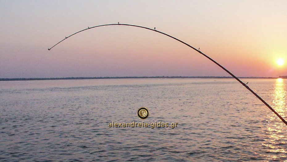 Απαγορεύεται το ψάρεμα με κάθε μέσο στον Λουδία και τον Αλιάκμονα (ανακοίνωση)