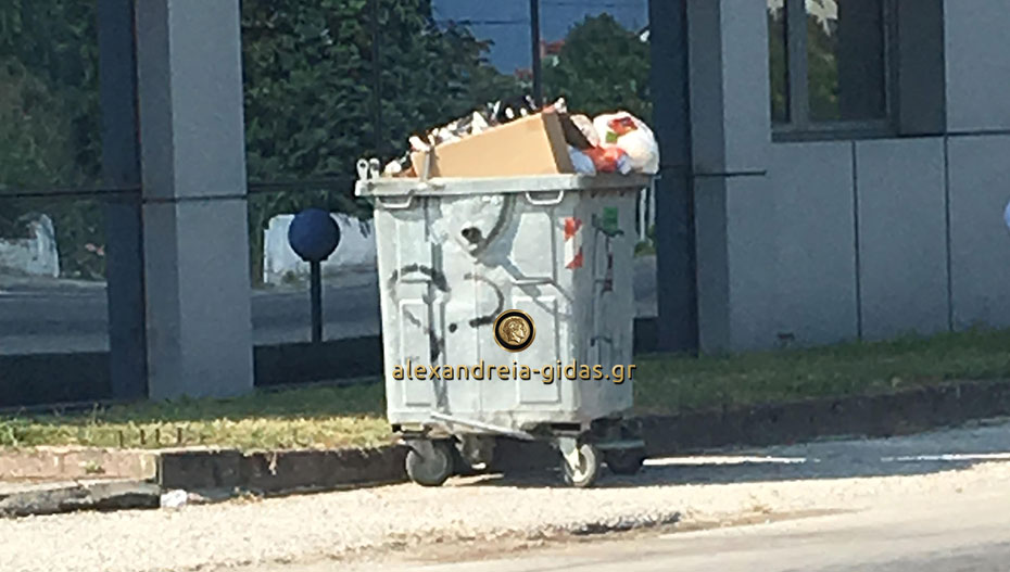 Αναγνώστρια: “Τι θα γίνει επιτέλους με τα σκουπίδια;”