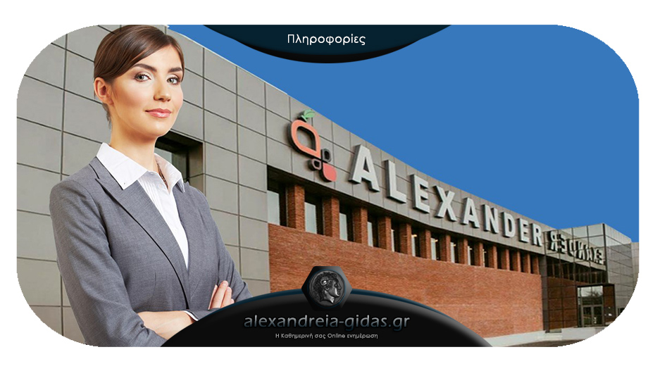 Θέση πωλητή στην εταιρία ALEXANDER στην Ημαθία