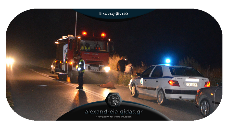 Πριν λίγο: Τροχαίο ατύχημα στα Τρίκαλα Ημαθίας – τραυματίστηκε ο οδηγός