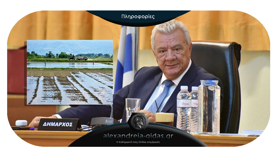 Δήμος Αλεξάνδρειας: “Προς αποκατάσταση της αλήθειας για τη συνάντηση σχετικά με τα ρύζια”