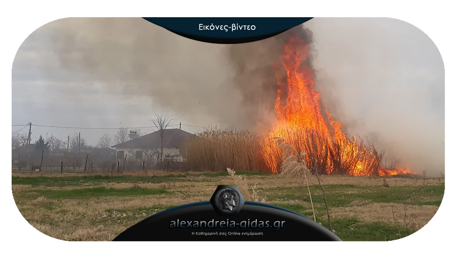 Φωτιά αναστάτωσε το μεσημέρι το Νεοχώρι του δήμου Αλεξάνδρειας