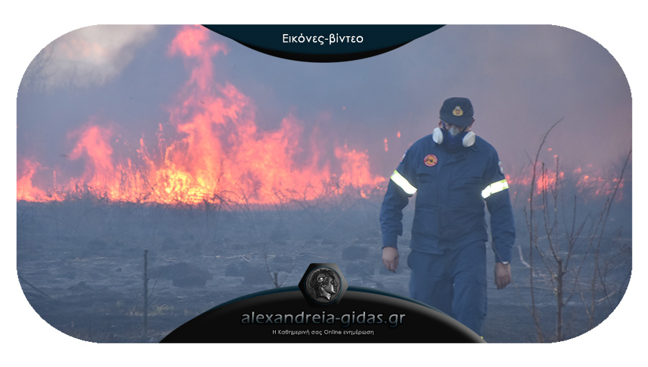 Μεγάλη φωτιά στο Νεοχωρόπουλο του δήμου Αλεξάνδρειας – έφτασε μέχρι τα σπίτια