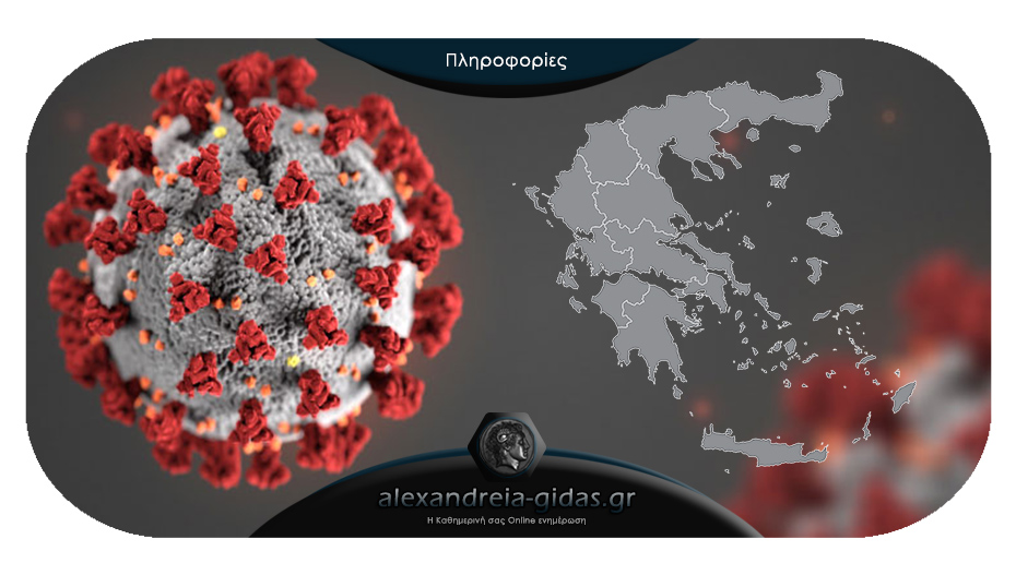Κανένα επιβεβαιωμένο κρούσμα κορονοϊού στην Ημαθία – δείτε αναλυτικά τον χάρτη