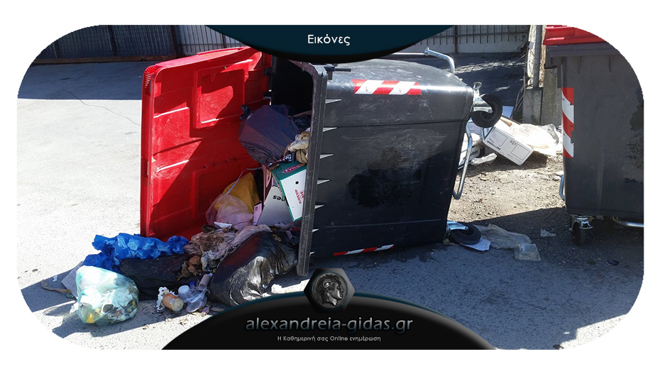 Αναγνώστης: Πολύ μας σέβονται στα Αμπελοτόπια με τα σκουπίδια!
