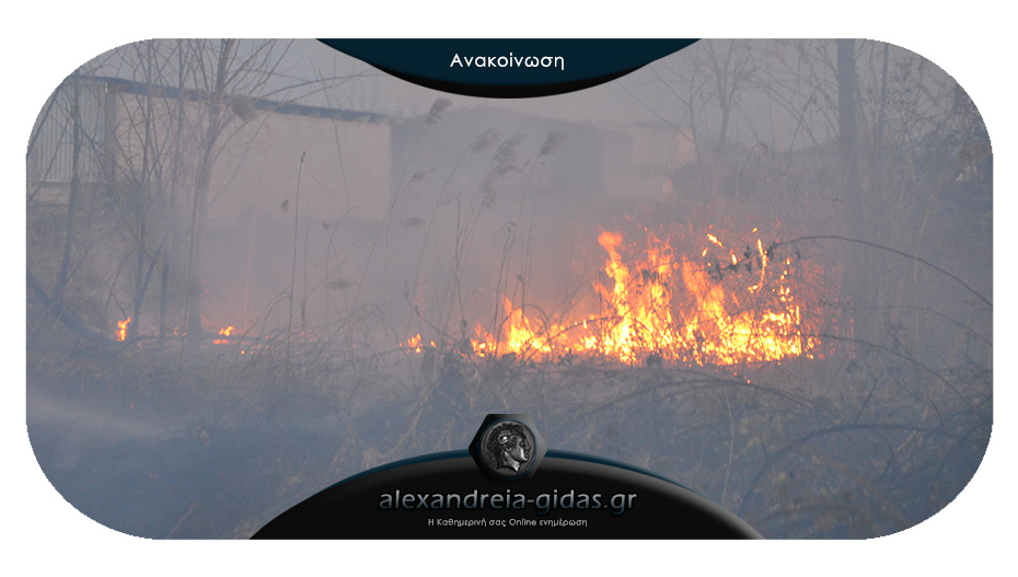 Ενημέρωση για τις φωτιές στον δήμο Αλεξάνδρειας