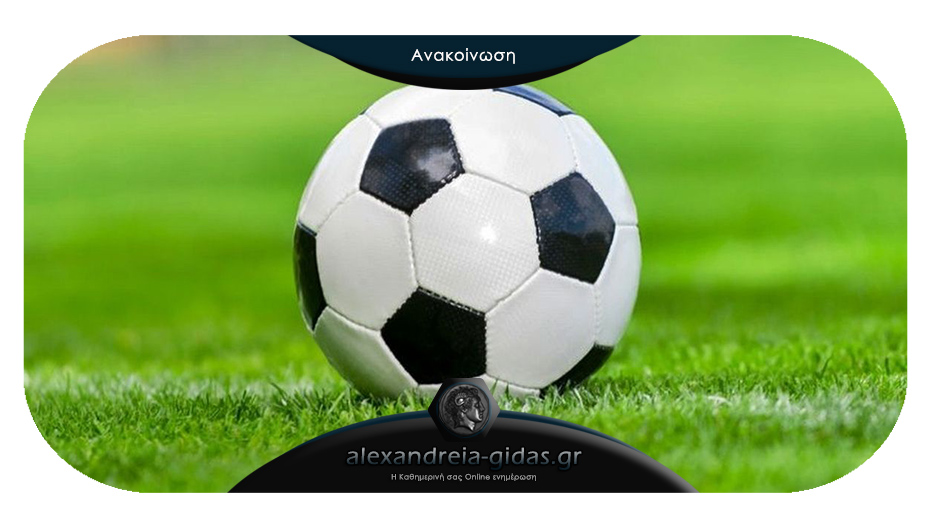 Γενική Συνέλευση και εκλογές για τους προπονητές ποδοσφαίρου Ημαθίας