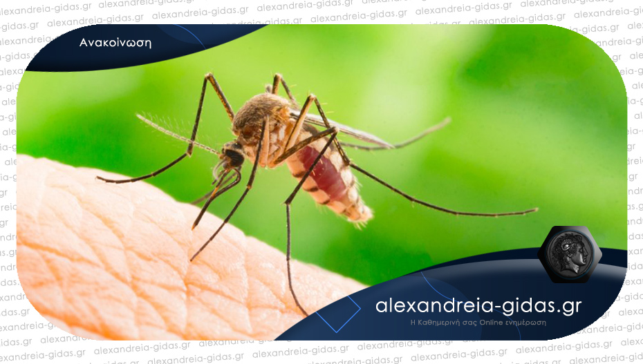 Ψεκασμός για τα κουνούπια το βράδυ της Πέμπτης στον δήμο Αλεξάνδρειας – τι να προσέξουν οι κάτοικοι