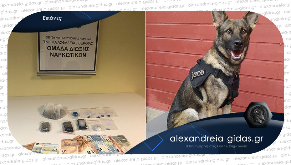 Εμπόρους ναρκωτικών συνέλαβαν οι αστυνομικοί της Ημαθίας με τη βοήθεια του σκύλου “Vector”